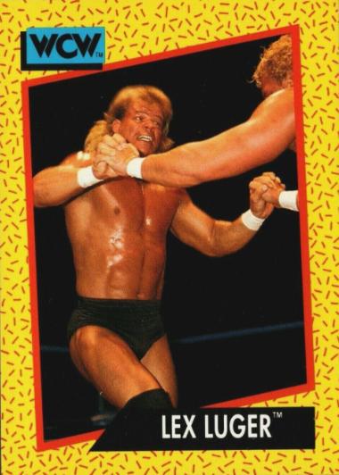 Lex Luger #17