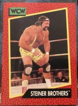 Steiner Brothers #105