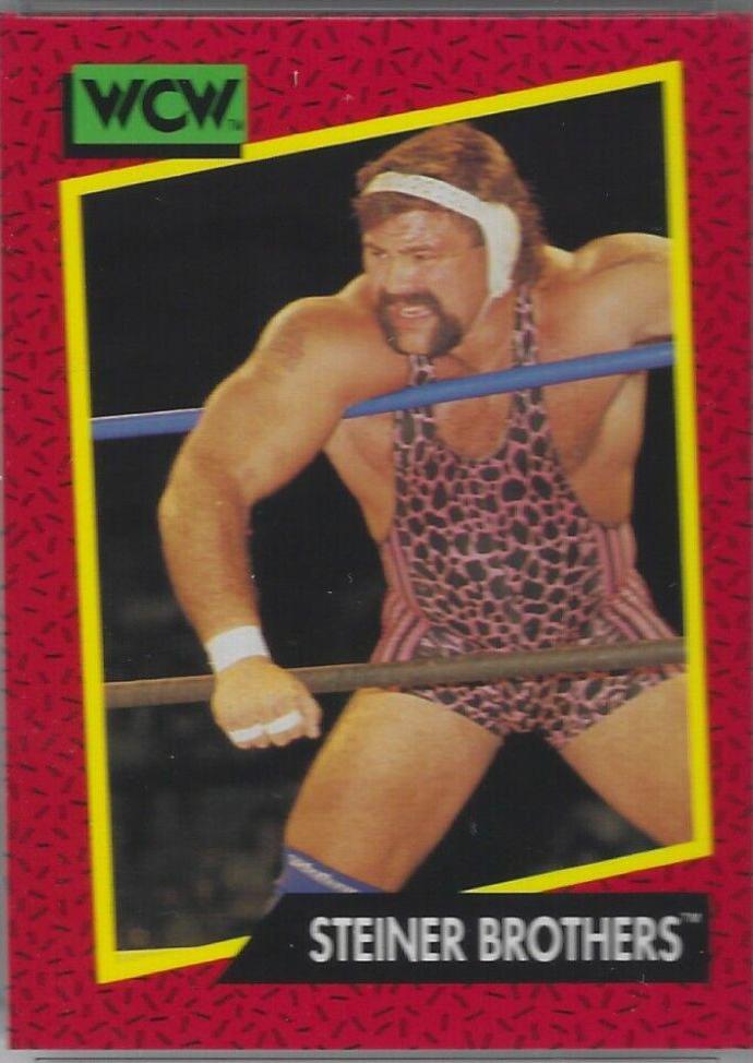 Steiner Brothers #107