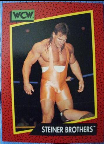 Steiner Brothers #108