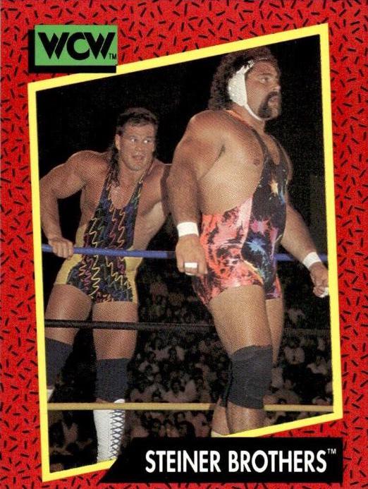 Steiner Brothers #111