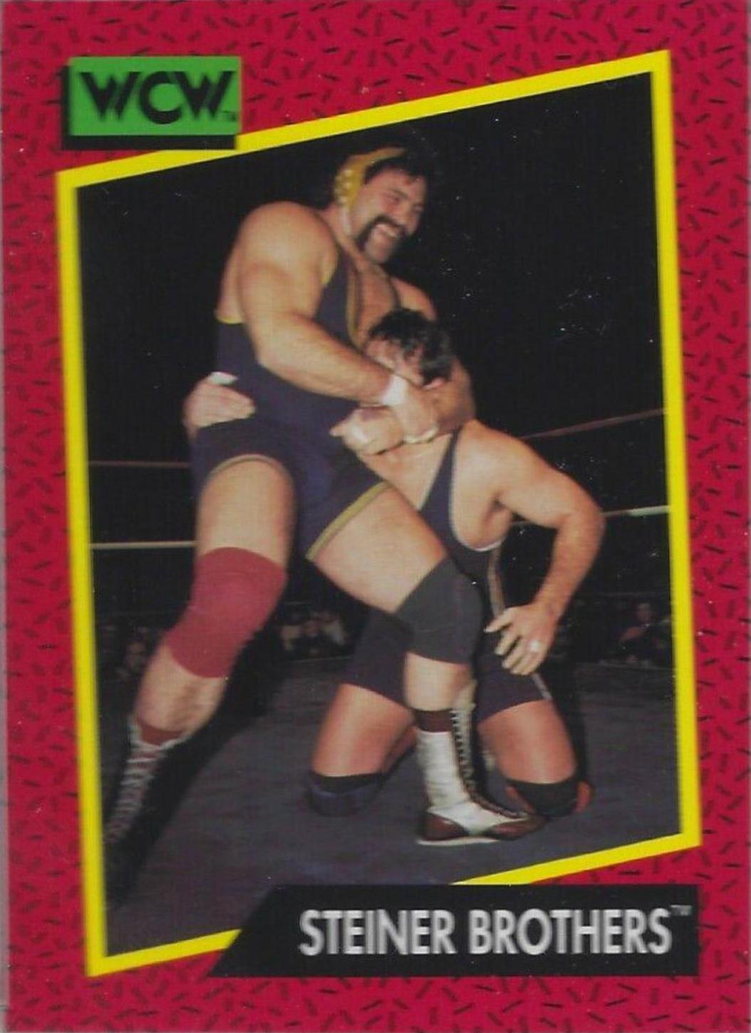 Steiner Brothers #112