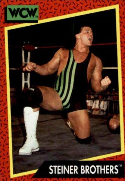 Steiner Brothers #113