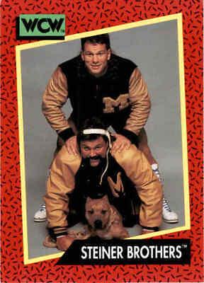 Steiner Brothers #114