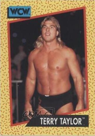 Terry Taylor #68
