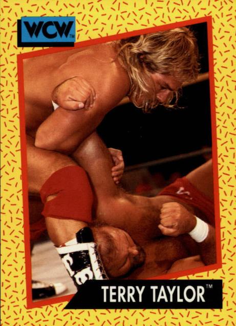 Terry Taylor #71