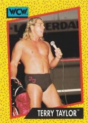 Terry Taylor #73