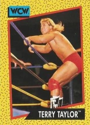Terry Taylor #74