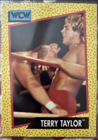 Terry Taylor #75