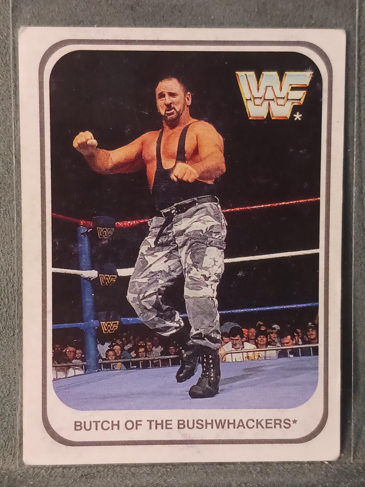 Bushwhacker Butch [German] #119