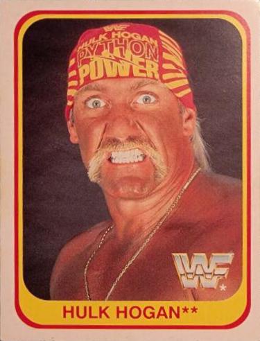 Hulk Hogan #61