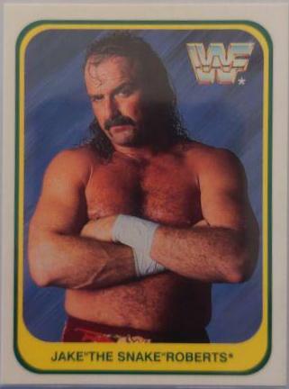 Jake Roberts #42