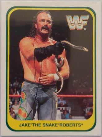 Jake Roberts #47