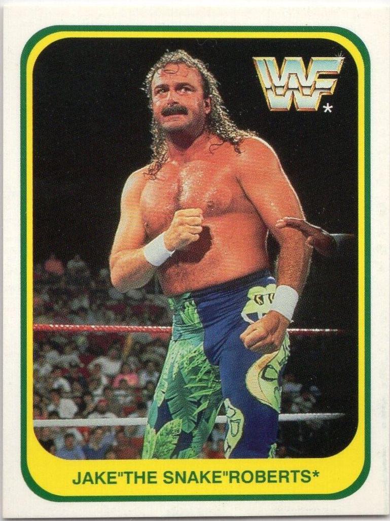 Jake Roberts #7