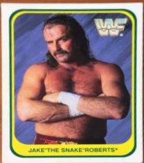 Jake Roberts [German] #42