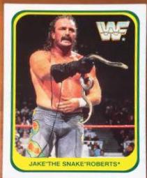 Jake Roberts [German] #47