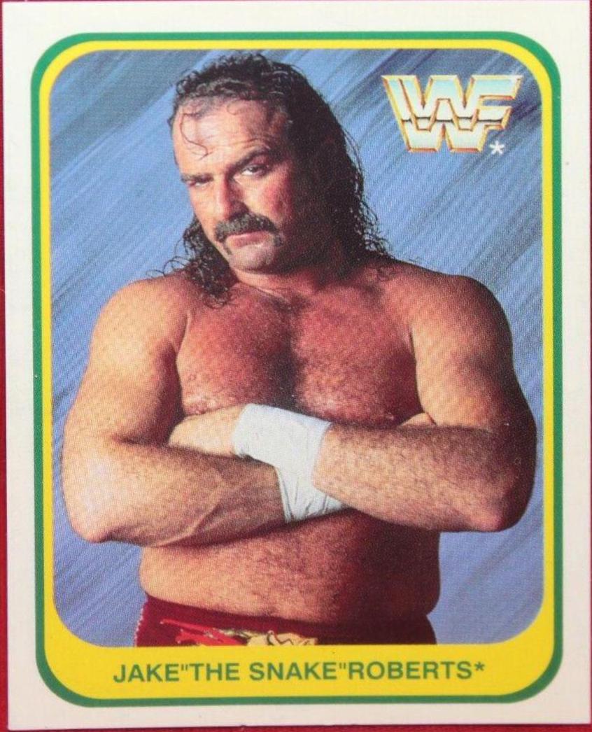 Jake Roberts [Italian] #42