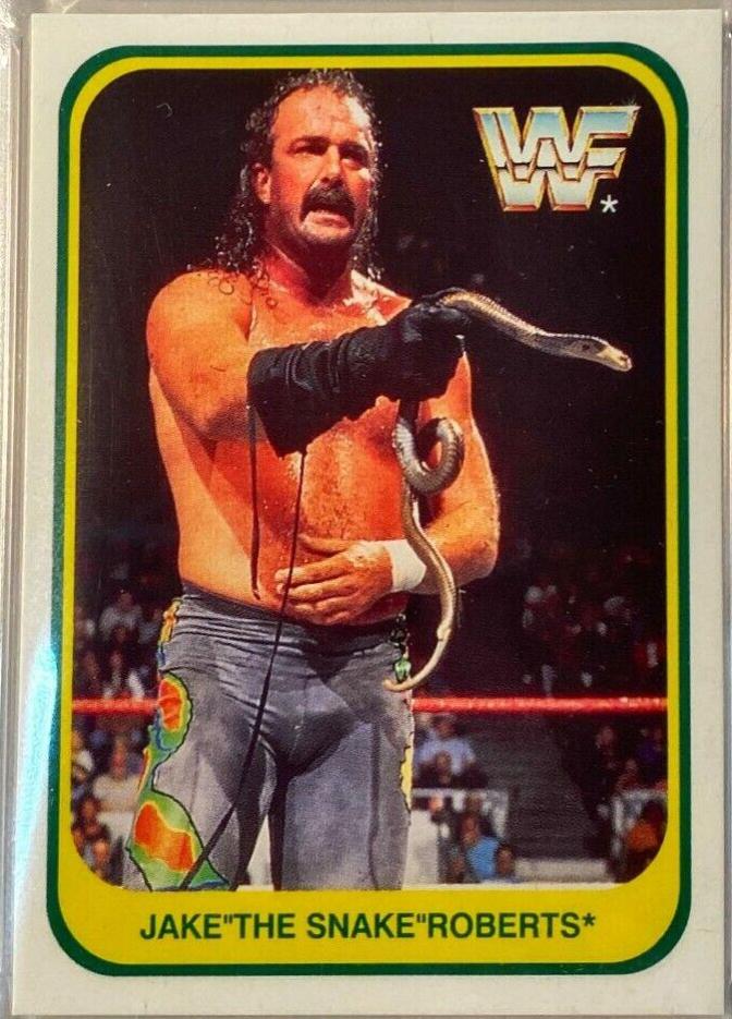 Jake Roberts [Italian] #47