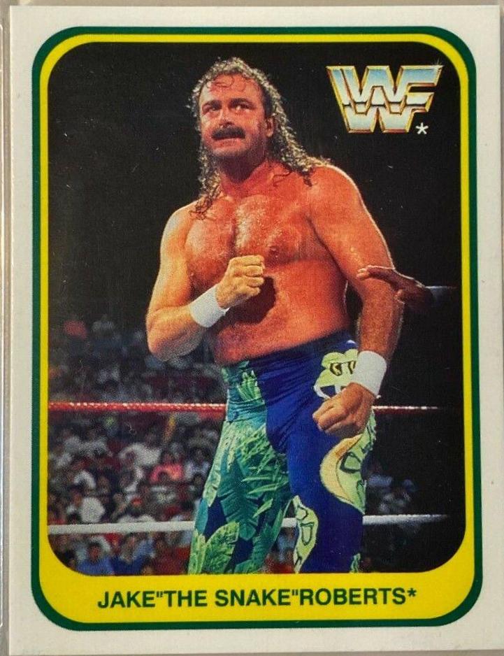 Jake Roberts [Italian] #7