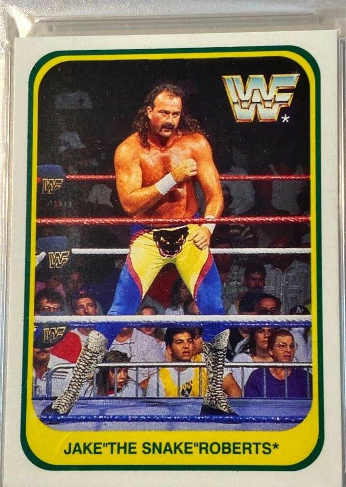 Jake Roberts [Italian] #82