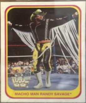 Macho Man Randy Savage #18