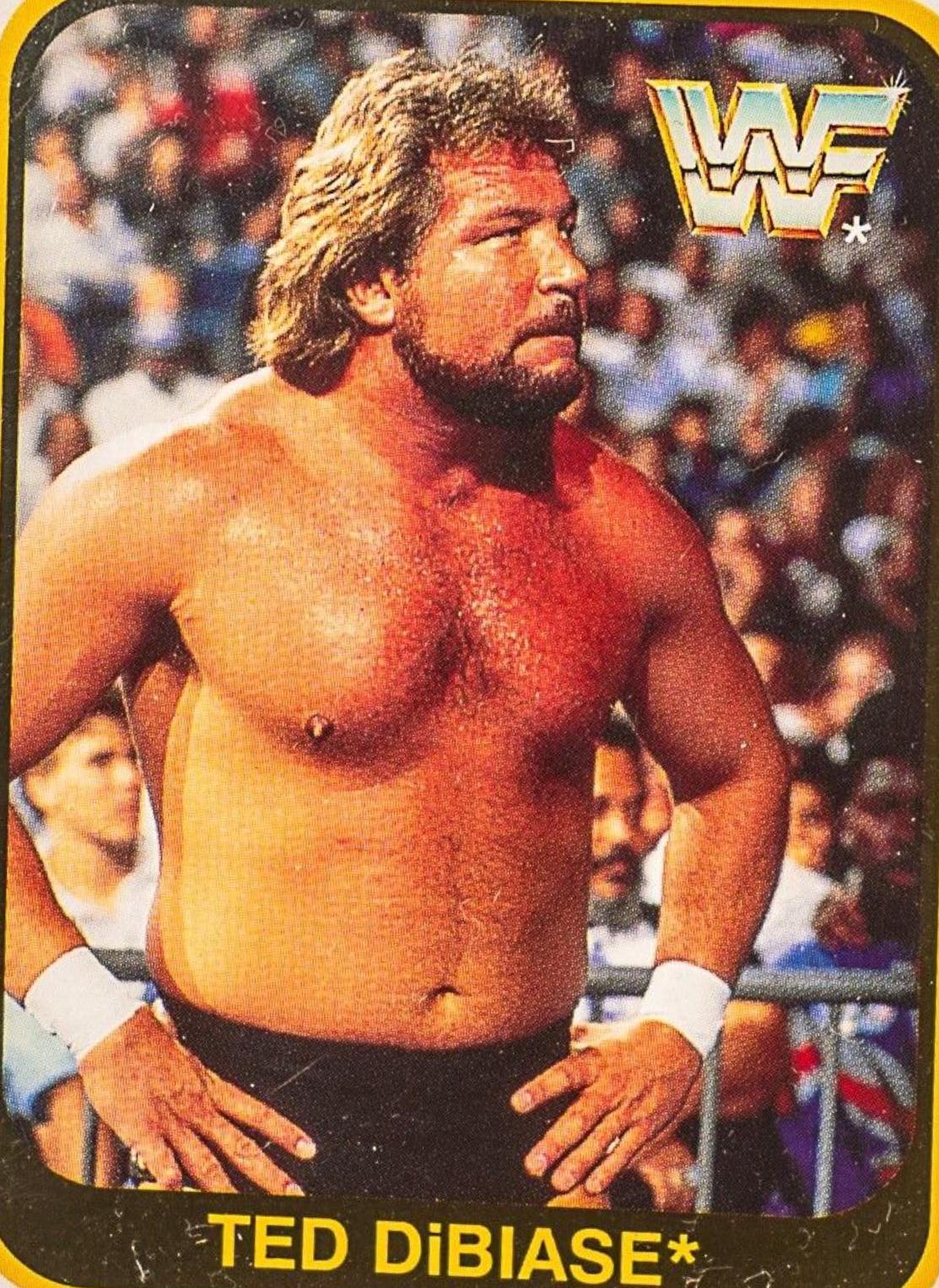 Ted DiBiase #109