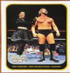 Ted DiBiase [German] #109