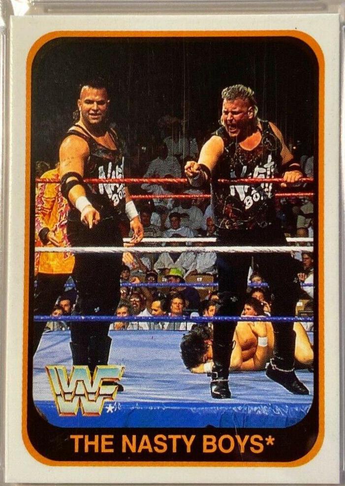 The Nasty Boys [Italian] #113