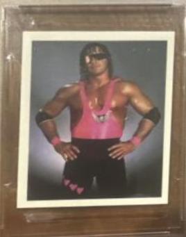Bret Hart #34
