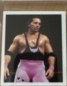 Bret Hart #35