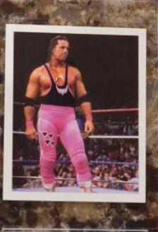 Bret Hart #37