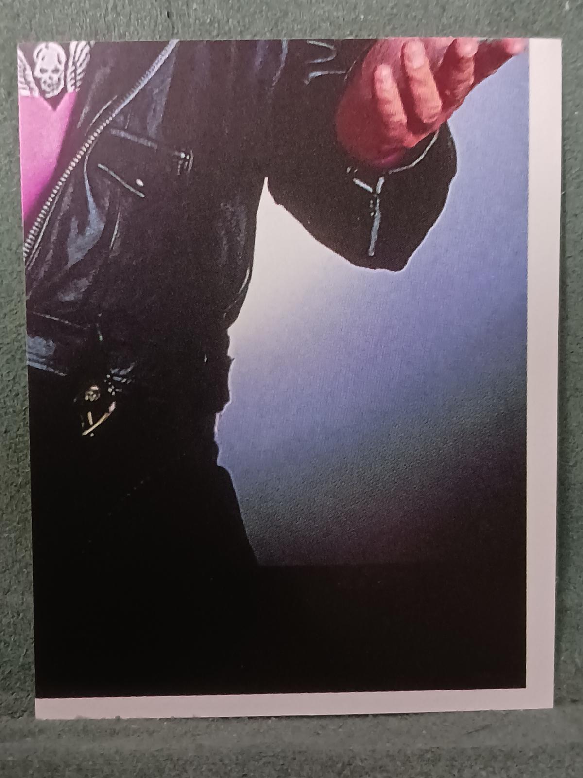 Bret Hart #42