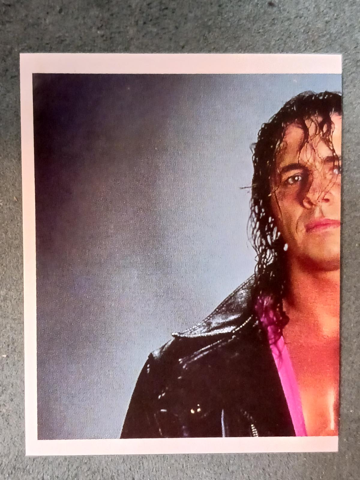 Bret Hart #43
