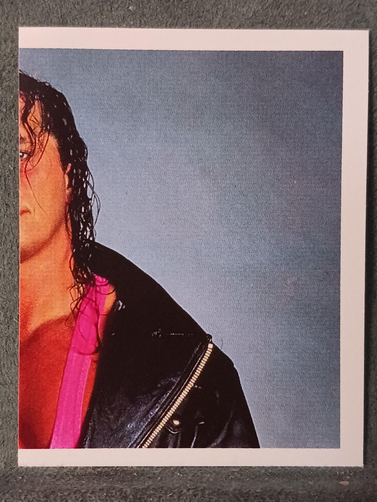 Bret Hart #44