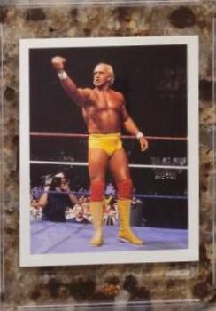 Hulk Hogan #10