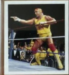 Hulk Hogan #11