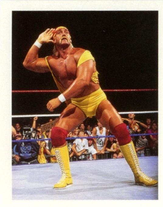 Hulk Hogan #12
