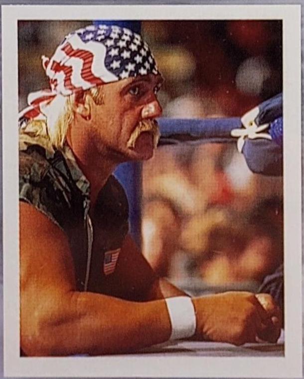 Hulk Hogan #13