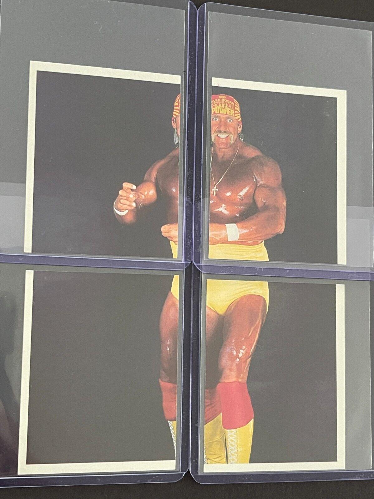 Hulk Hogan #2