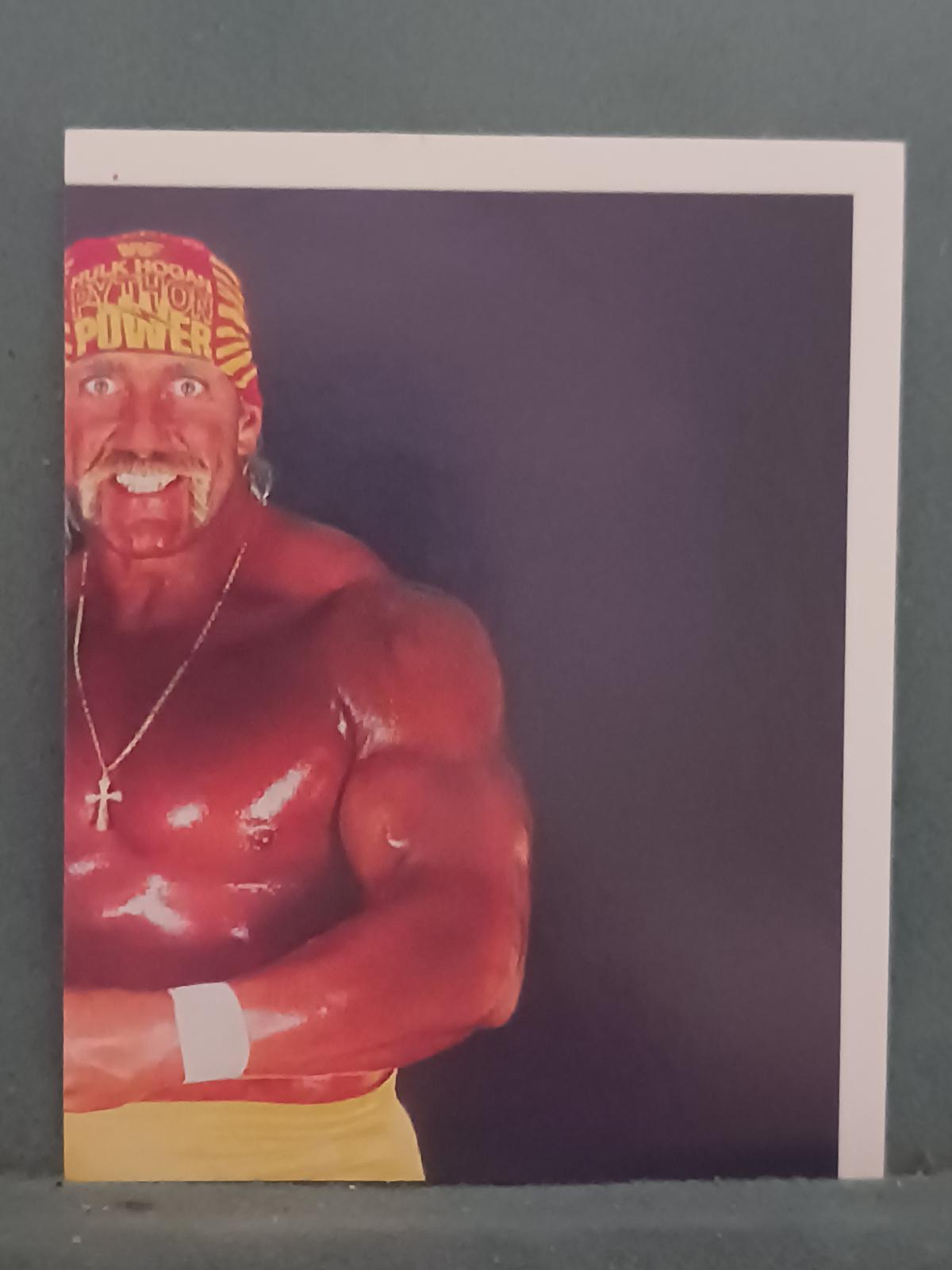 Hulk Hogan #3