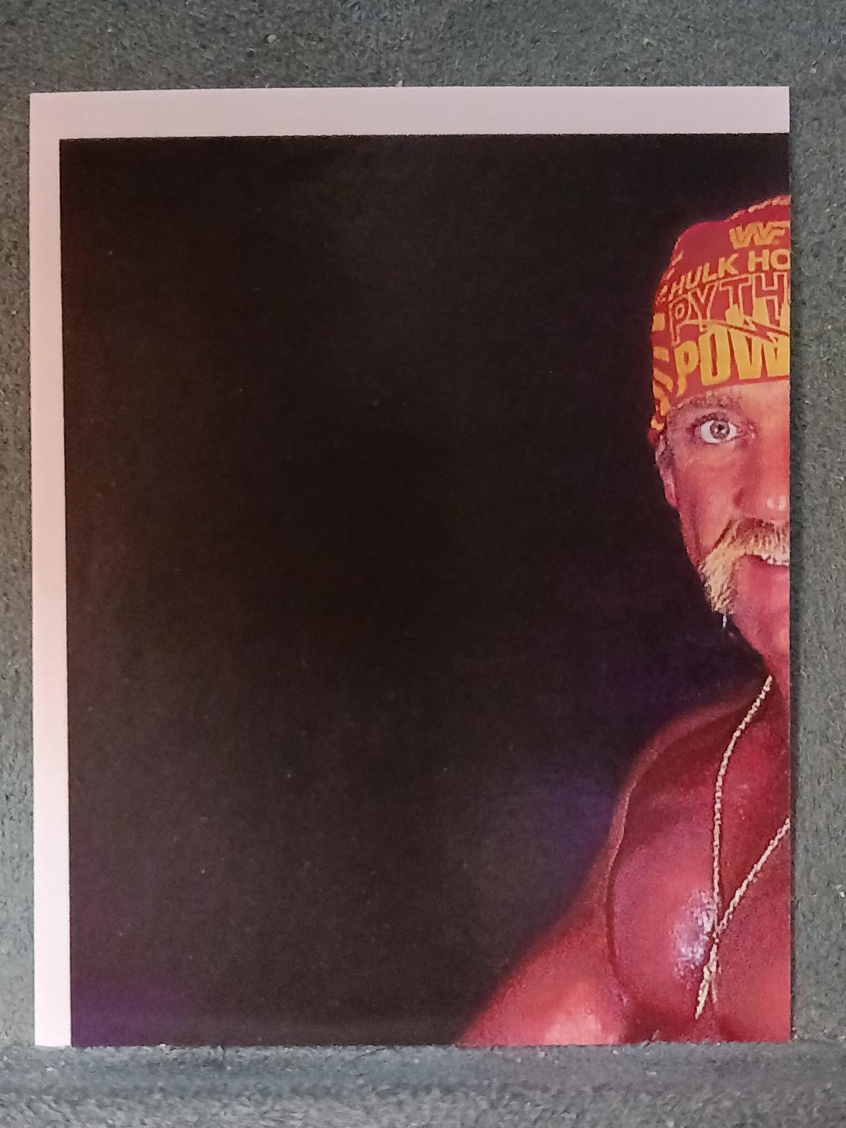 Hulk Hogan #6