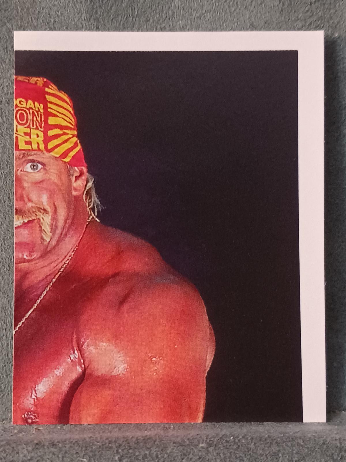 Hulk Hogan #7