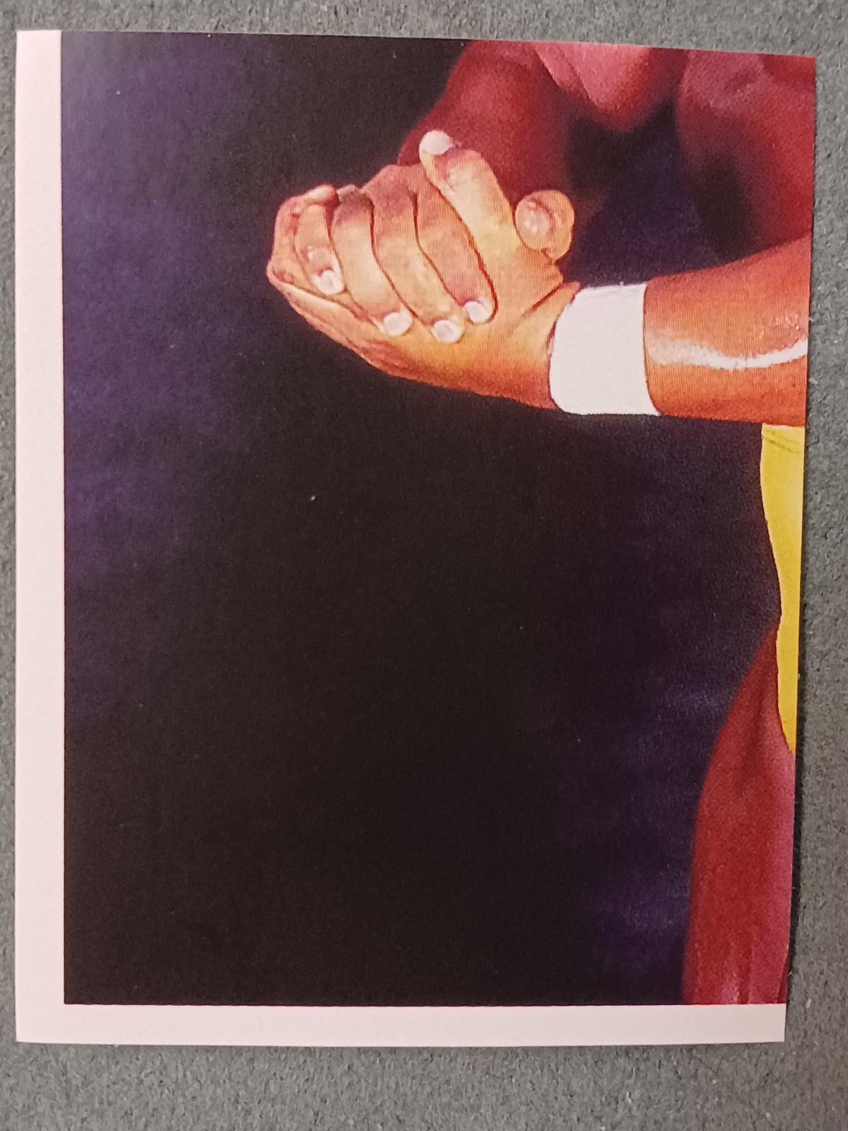 Hulk Hogan #8