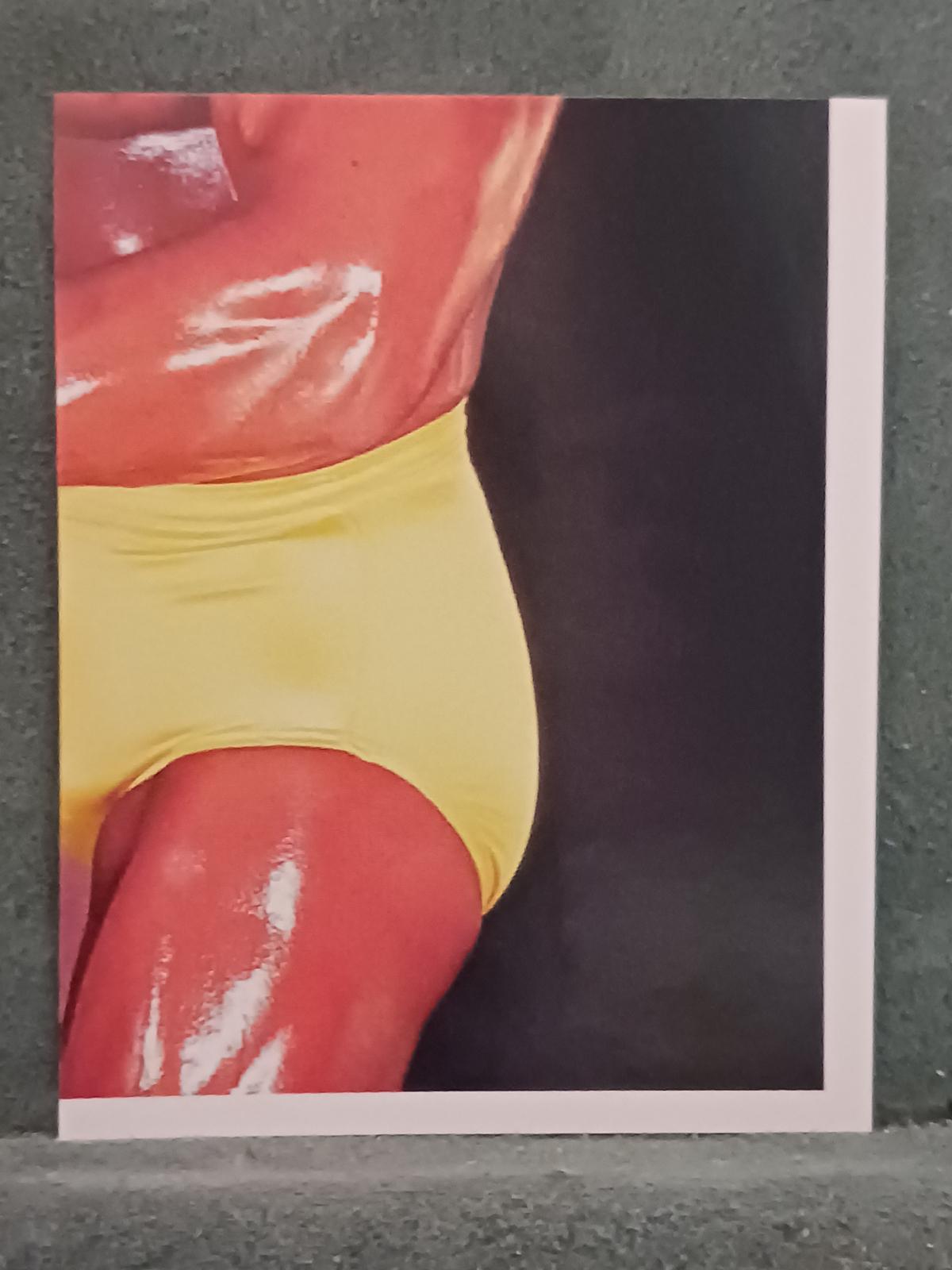 Hulk Hogan #9