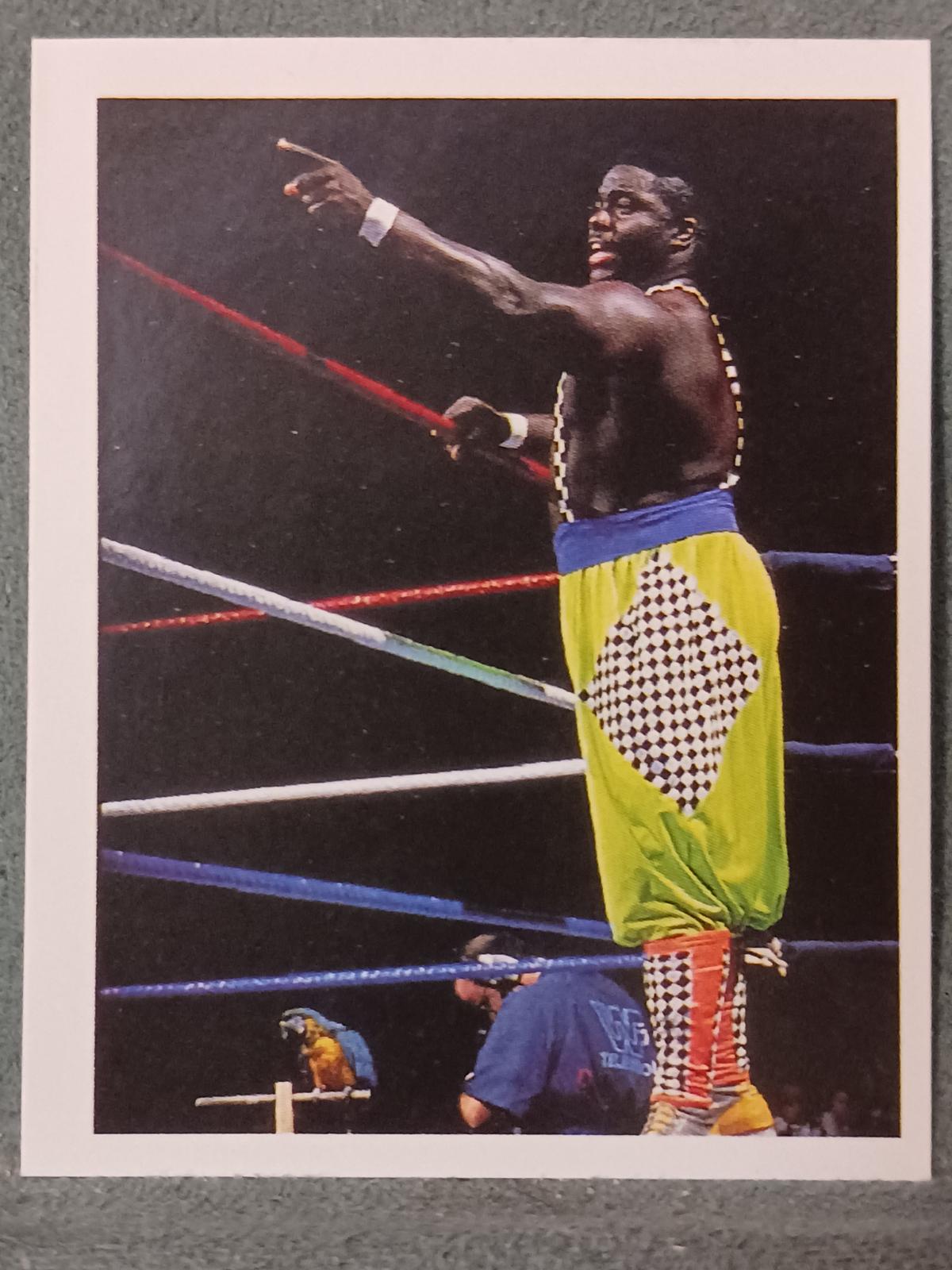 Koko B. Ware #261