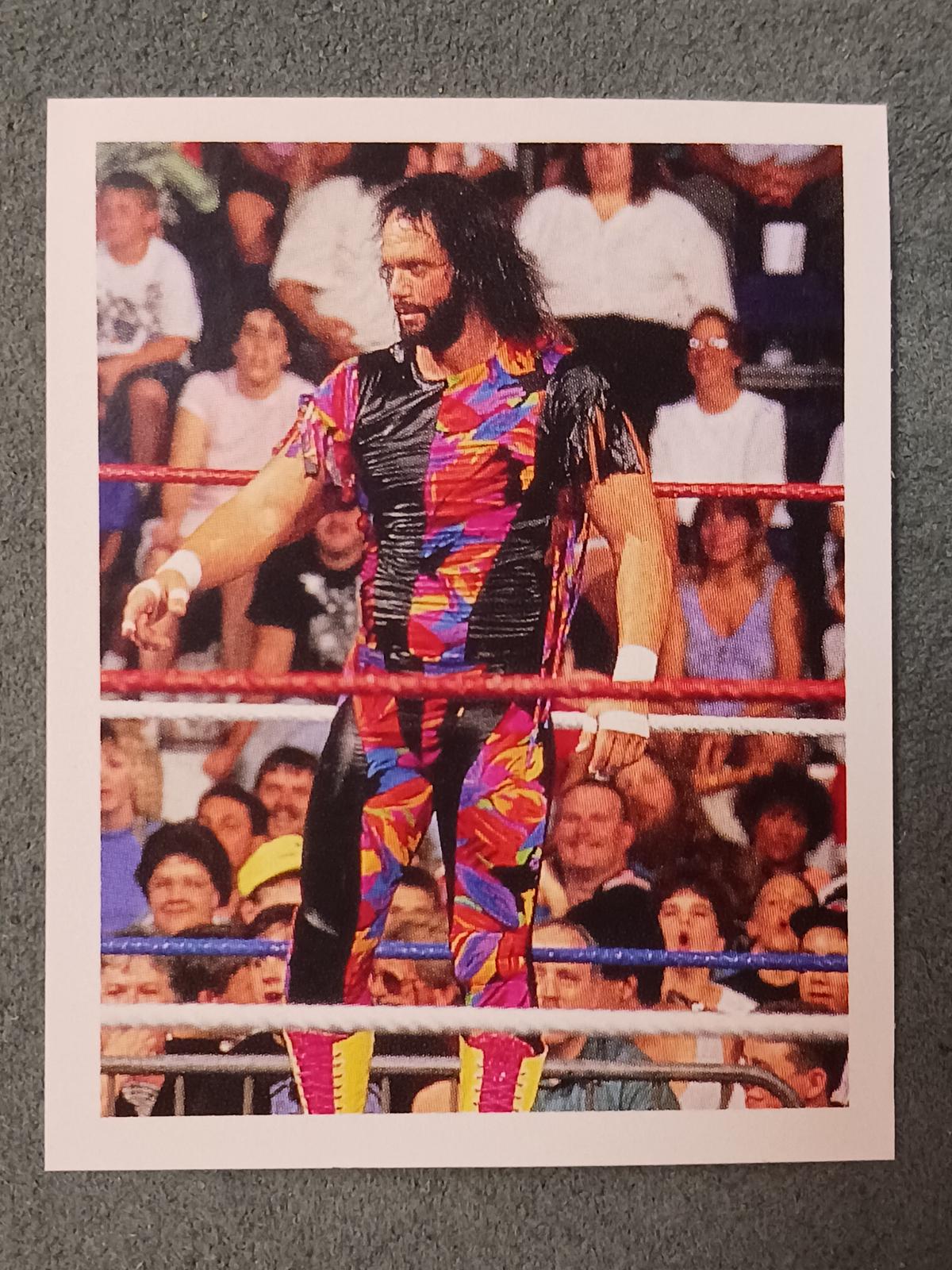 Macho Man Randy Savage #141