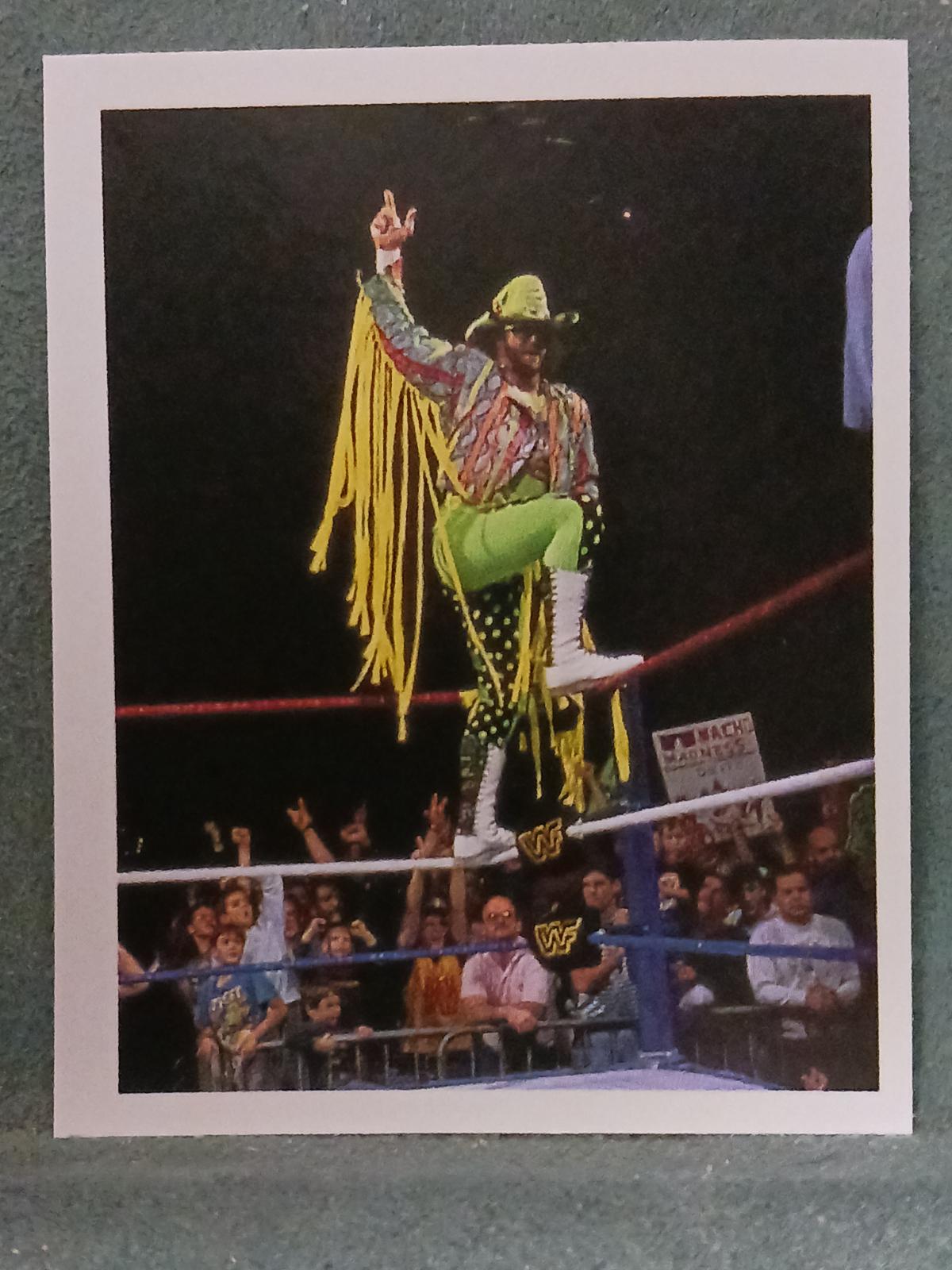 Macho Man Randy Savage #142