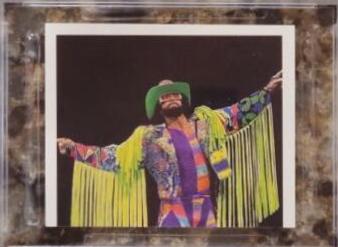 Macho Man Randy Savage #148