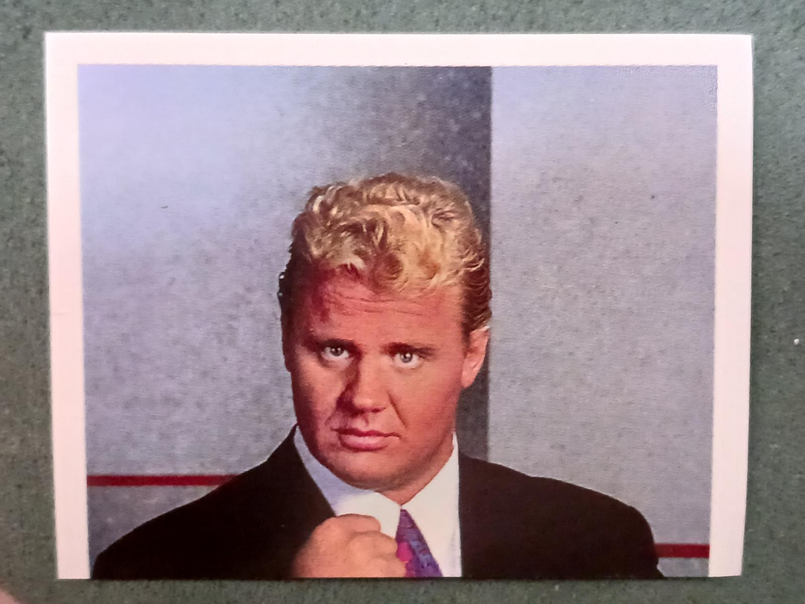 Mr. Perfect #269
