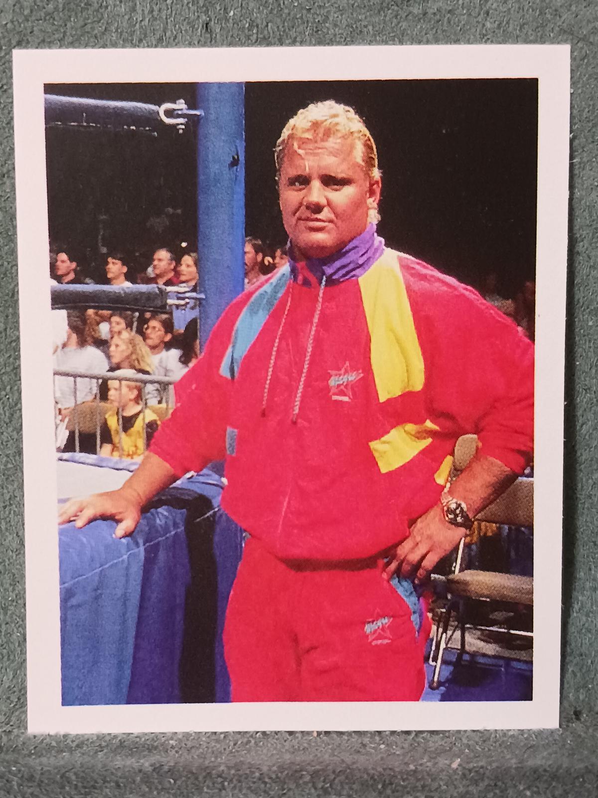 Mr. Perfect #272